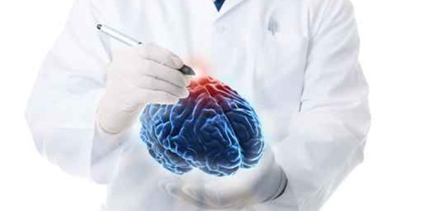 neurologia